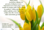 Sveikinimas Tarptautinės moters dienos proga